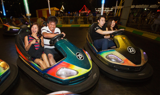 Bumper Cars  Uncle Ringo Trading Pte Ltd