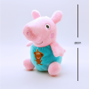 Piglet_With_Measurement